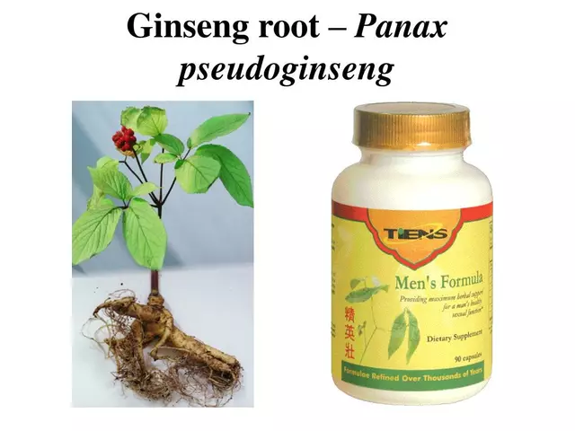 Panax Pseudoginseng: The All-Natural, All-Powerful Health Booster You Need