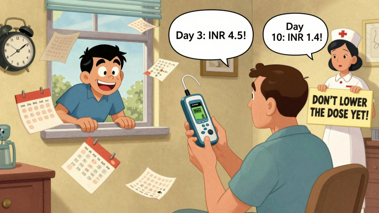 Patient monitoring INR at home with rapidly changing readings as phenytoin disrupts warfarin levels.